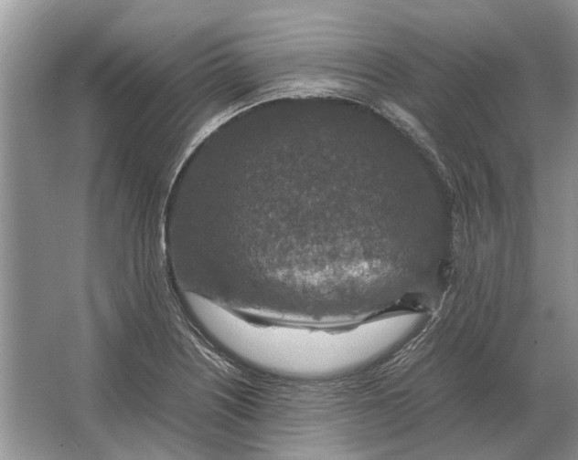 X0000064771226200603031817