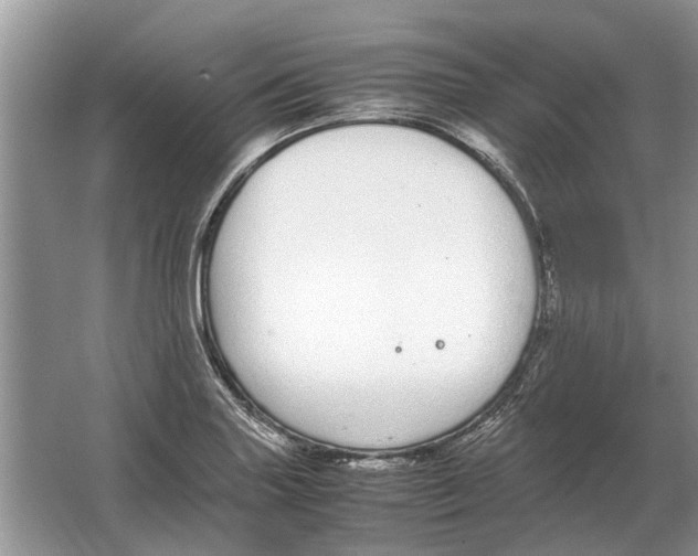 X0000064771227200603031817