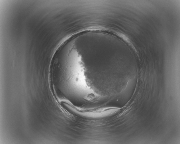 X0000064771229200603031817