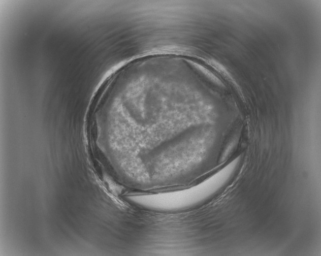 X0000064771230200603031817