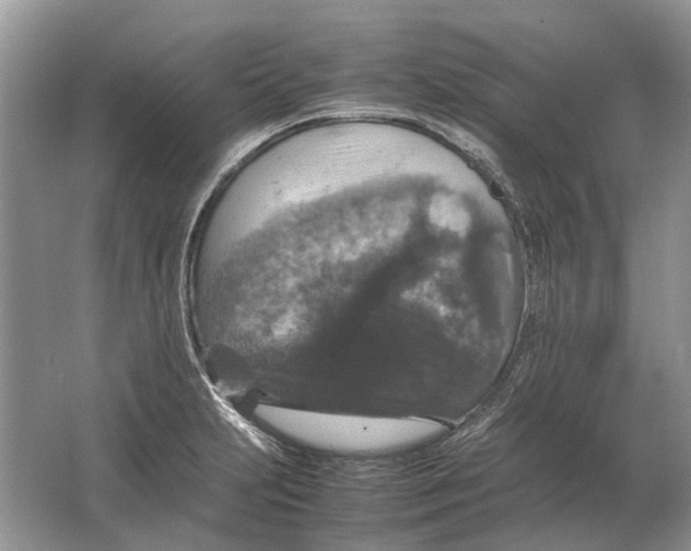 X0000064771231200603031817