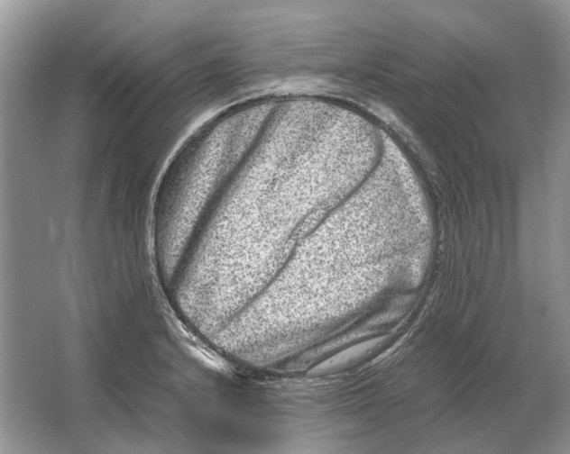 X0000064771232200603031817