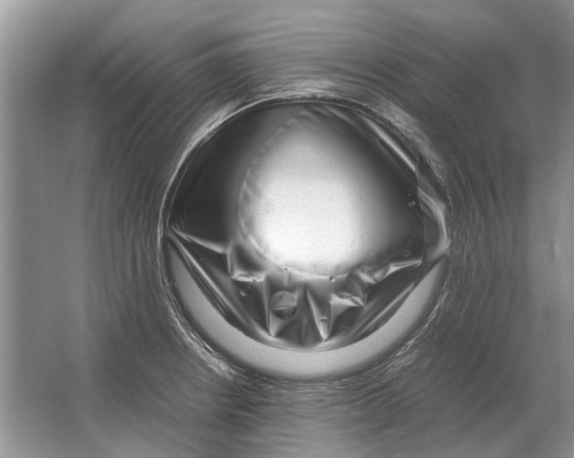 X0000064771234200603031817