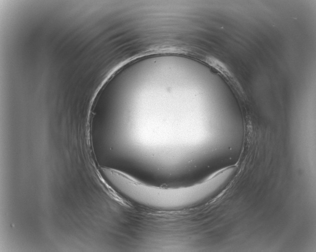 X0000064771236200603031817