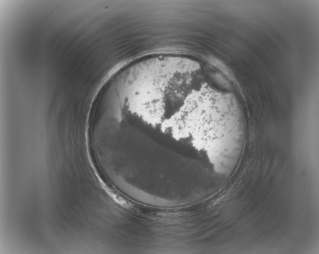 X0000064771237200603031817