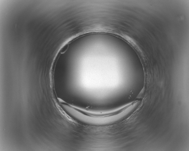 X0000064771238200603031817