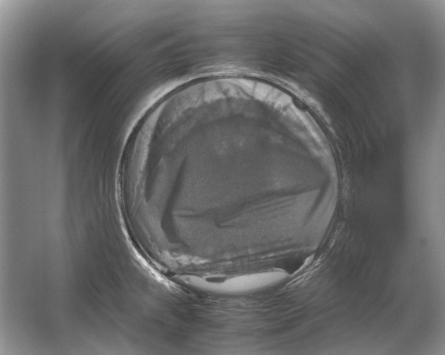 X0000064771239200603031817