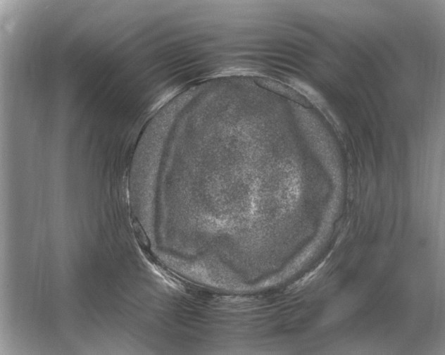 X0000064771241200603031817