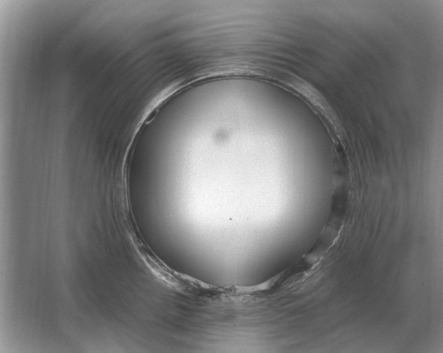 X0000064771242200603031817