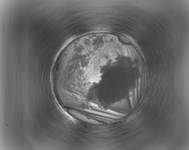 X0000064771243200603031817