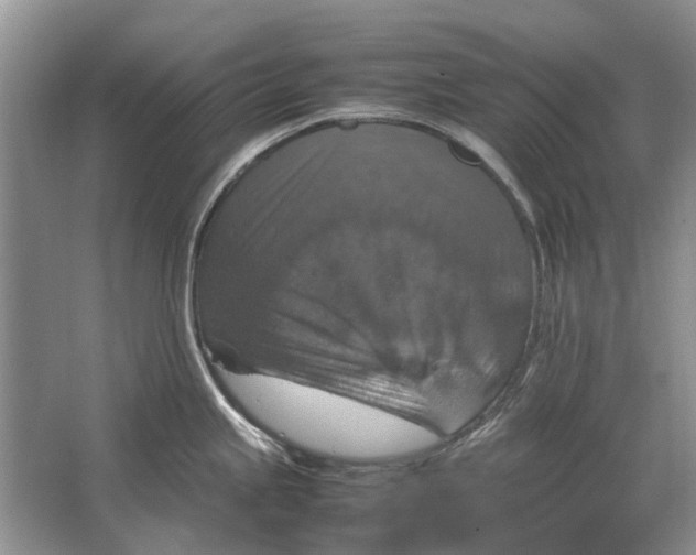 X0000064771245200603031817