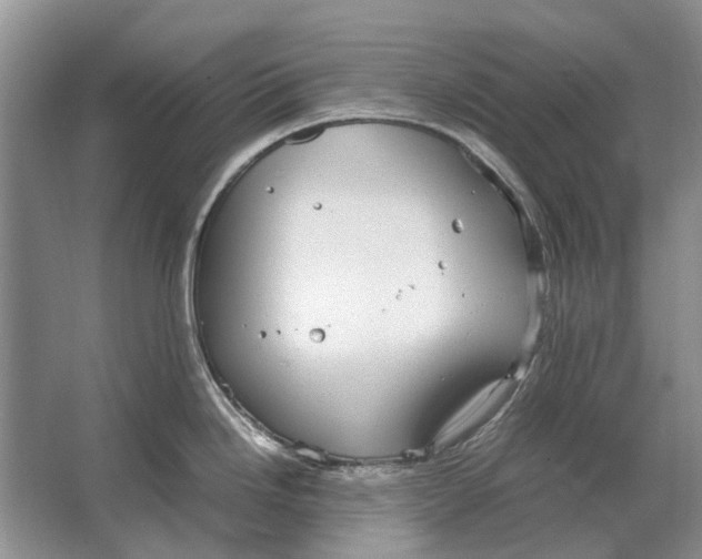 X0000064771246200603031817