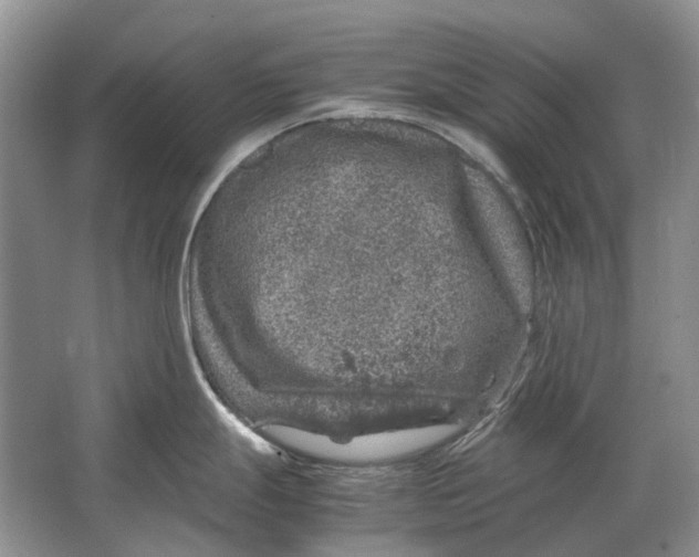 X0000064771247200603031817