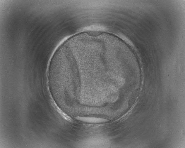 X0000064771248200603031817