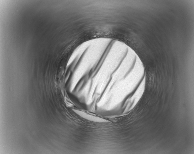 X0000064771250200603031816