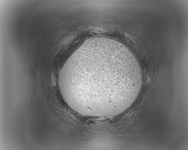 X0000064771253200603031816