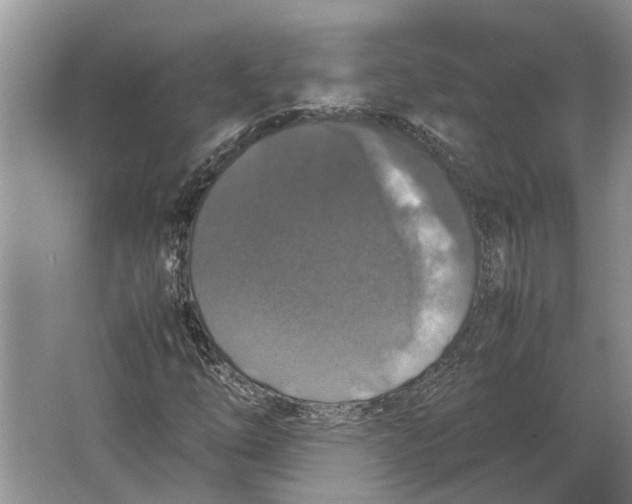 X0000064771254200603031816