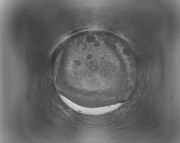 X0000064771255200603031816