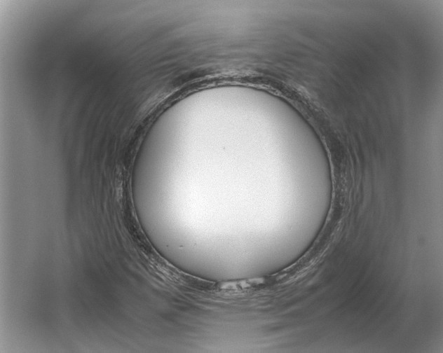 X0000064771257200603031816