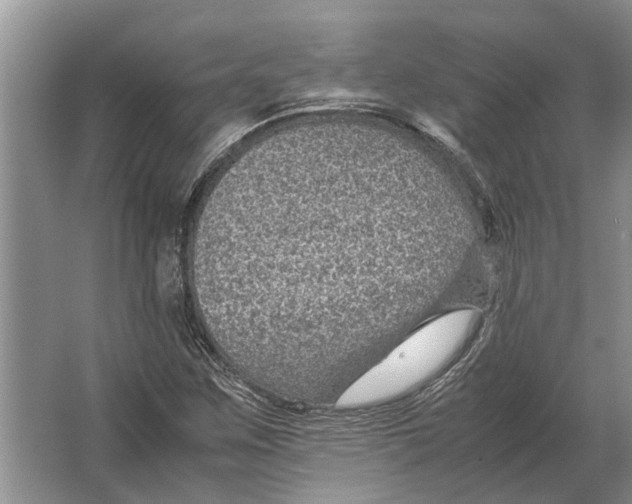 X0000064771259200603031816