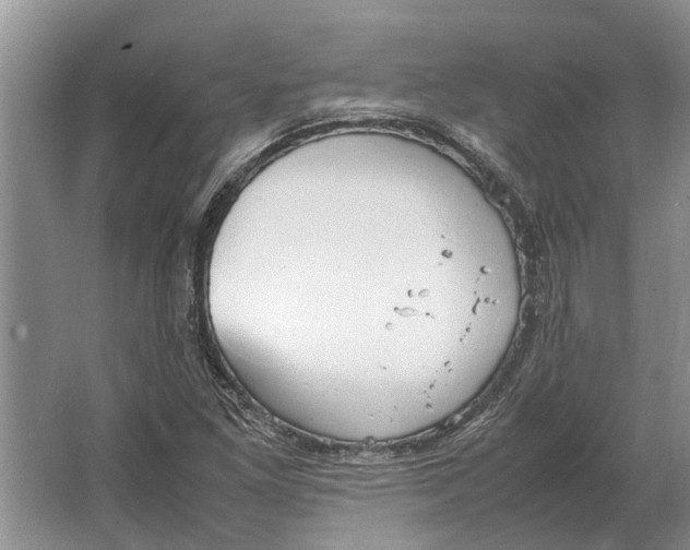 X0000064771261200603031816