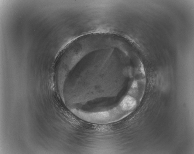 X0000064771262200603031816