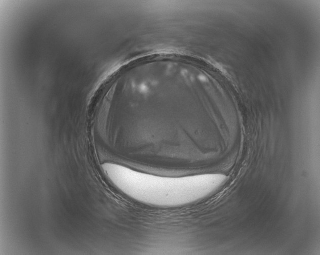 X0000064771263200603031816