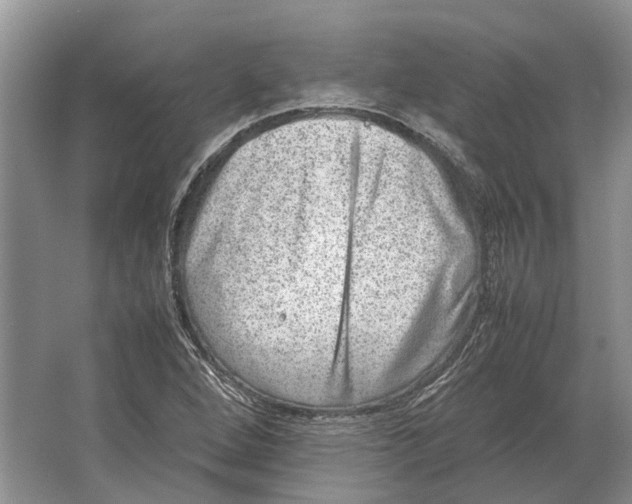 X0000064771264200603031816