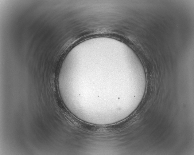 X0000064771265200603031816