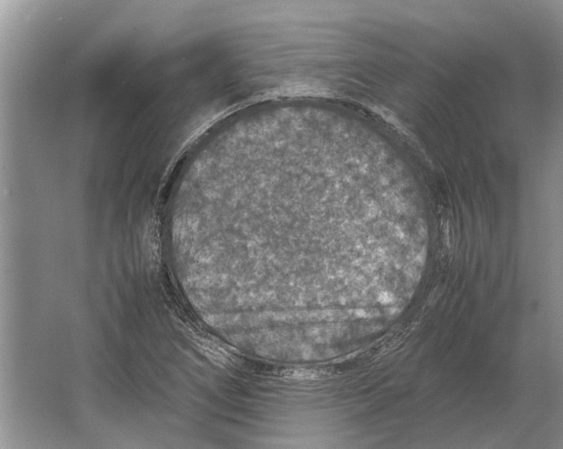 X0000064771266200603031816