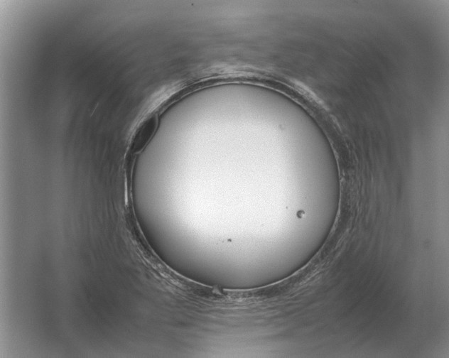 X0000064771269200603031816