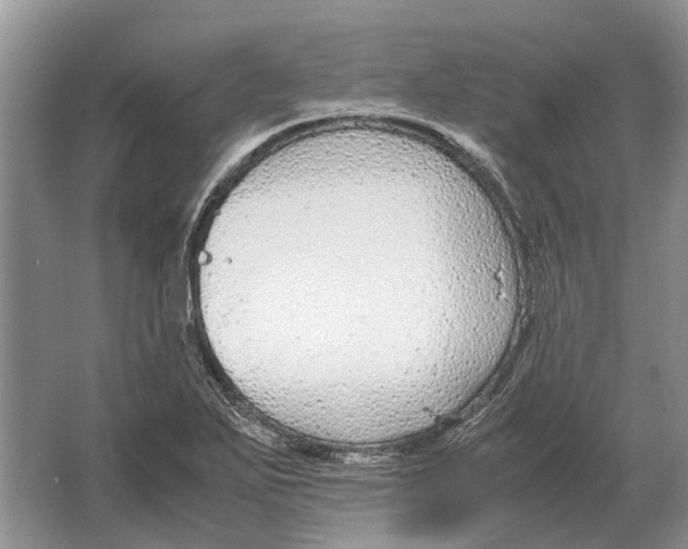 X0000064771271200603031816