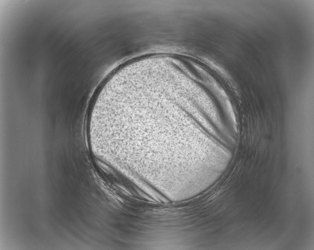 X0000064771272200603031816