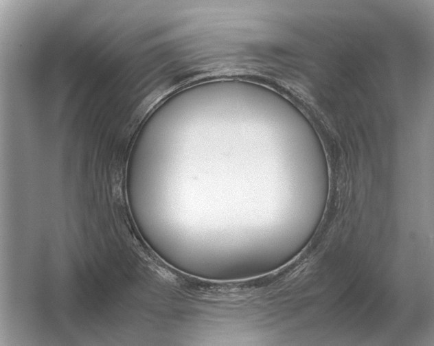 X0000064771273200603031816