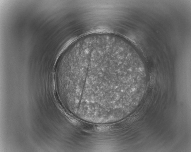 X0000064771274200603031816