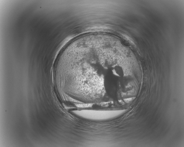 X0000064771275200603031816