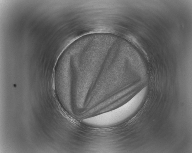 X0000064771276200603031816