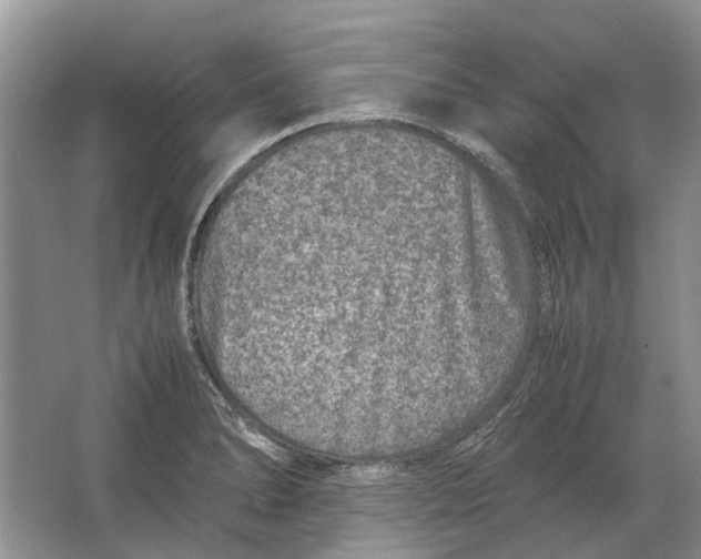 X0000064771278200603031816