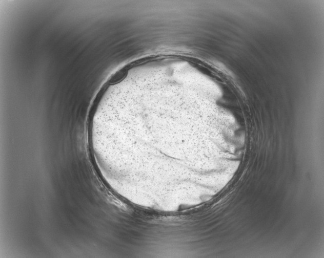 X0000064771280200603031816