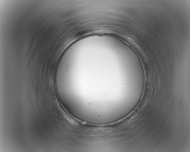 X0000064771281200603031816