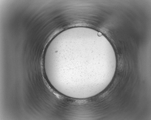 X0000064771282200603031816