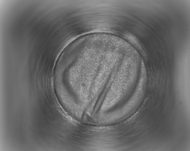 X0000064771284200603031816