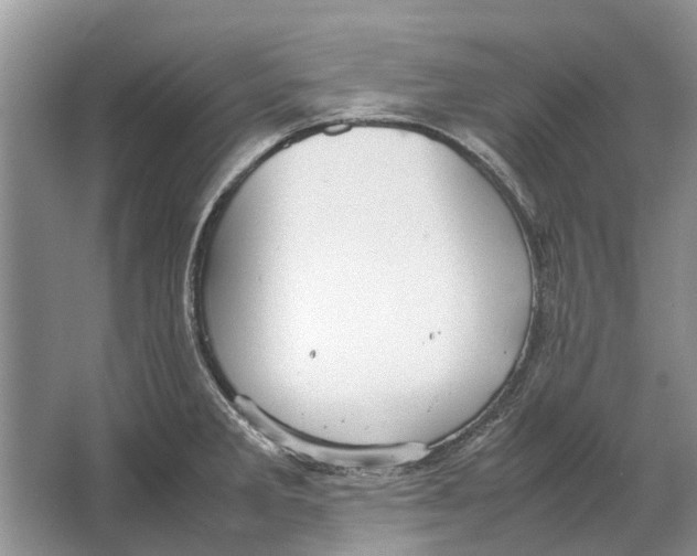 X0000064771285200603031816