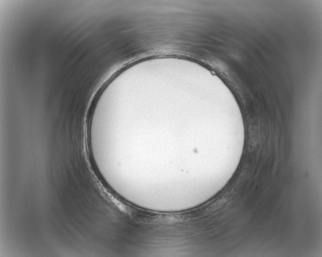 X0000064771286200603031816