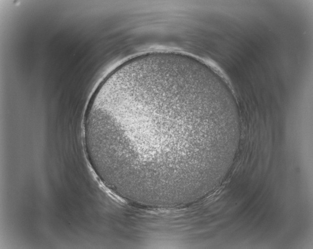 X0000064771287200603031816