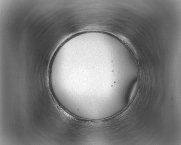 X0000064771288200603031816