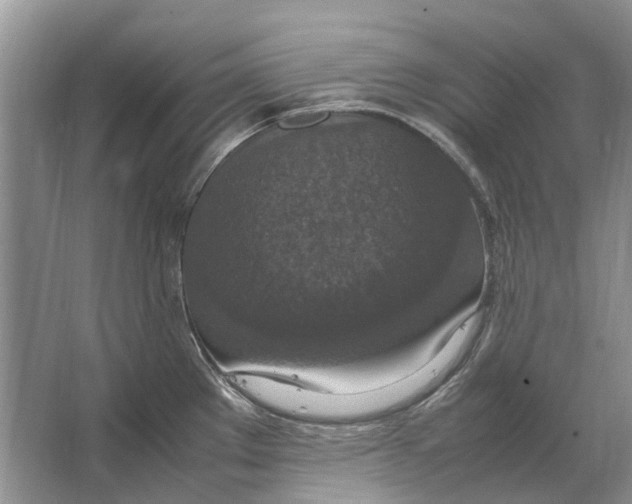 X0000064771289200603031816