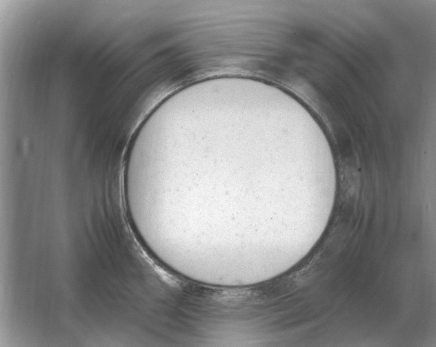 X0000064771290200603031815