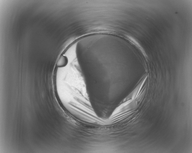 X0000064771291200603031815