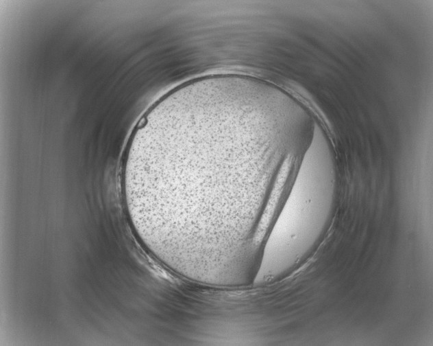 X0000064771292200603031815